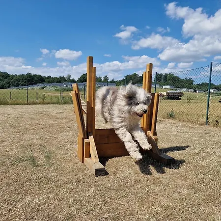 Ostseeferienpark Walkyrien - Offizier 11 펜션